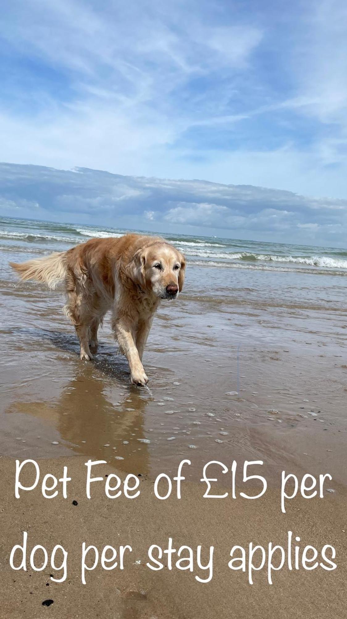 Fab Stay Uk - Coastal And Country Retreat With Free Secure Off Road Parking Minutes From Both Dover And Deal Buitenkant foto